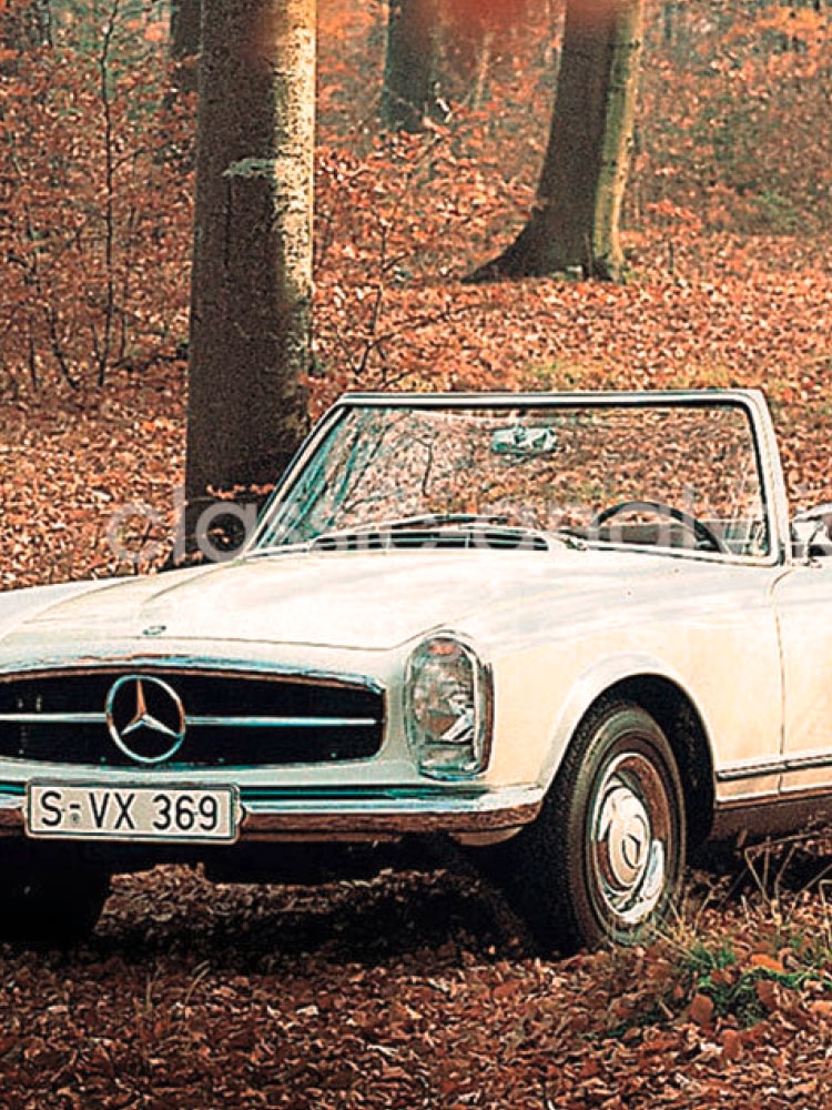 Eine weißer Mercedes-Benz 230 SL (W113) steht in einem Laubwald