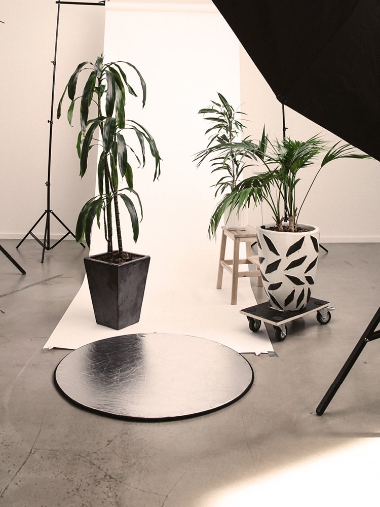 Ein Fotostudio mit diversem Equipment wie Stativen, Spiegel, Beleuchtung und Pflanzen
