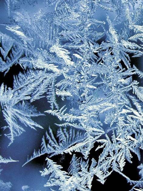 Ein Nahaufnahme von Frostkristallen auf einer Oberfläche. Die Frostkristalle haben komplizierte, federartige Muster und sind von Licht beleuchtet, was eine schöne und detaillierte Darstellung schafft.
