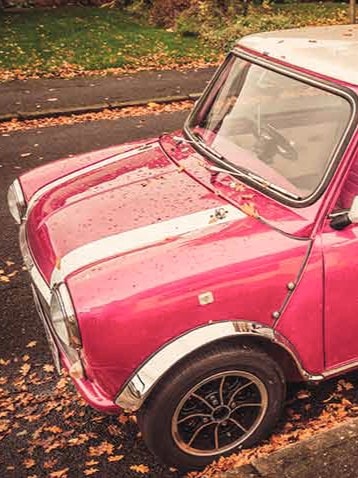 Ein pinkfarbener Mini Cooper mit weißen Streifen steht am Straßenrand, umgeben von herbstlichen Blättern.