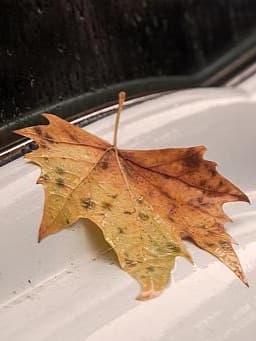 Oldtimer-Versicherung wechseln: Tipps