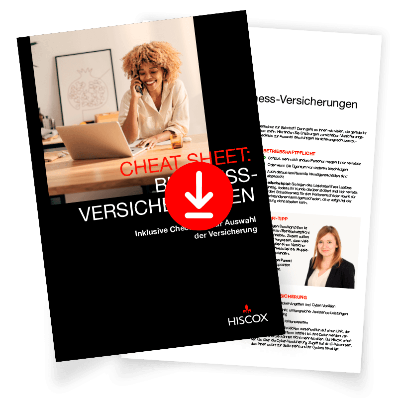 Vorschau des Cheat Sheets für Gründende